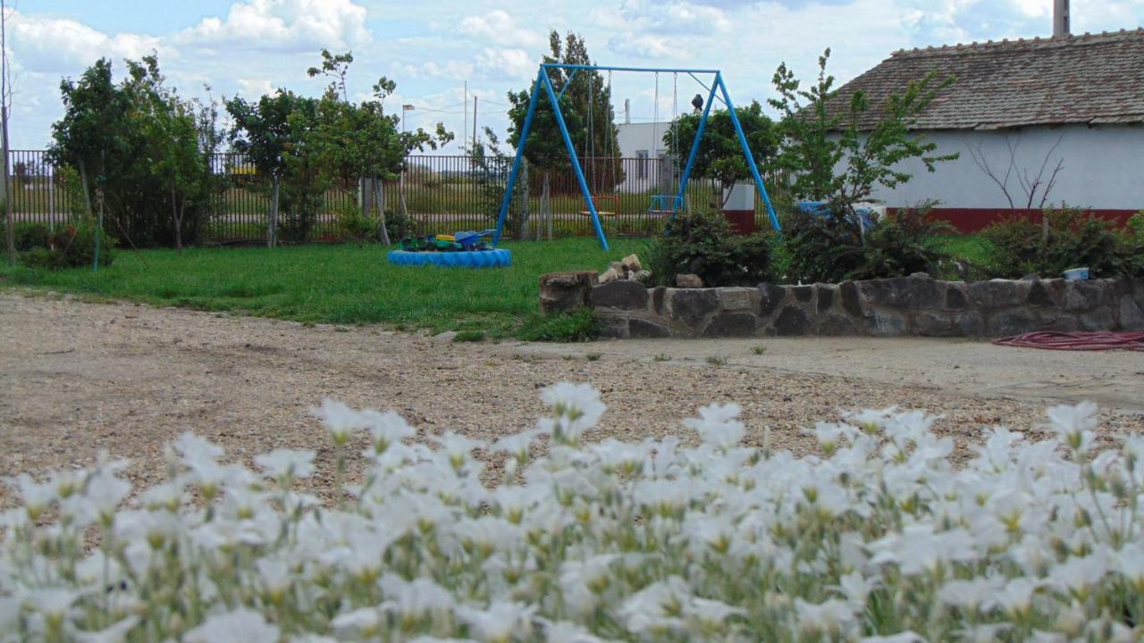 Anna Apartman Daire Maroslele Dış mekan fotoğraf